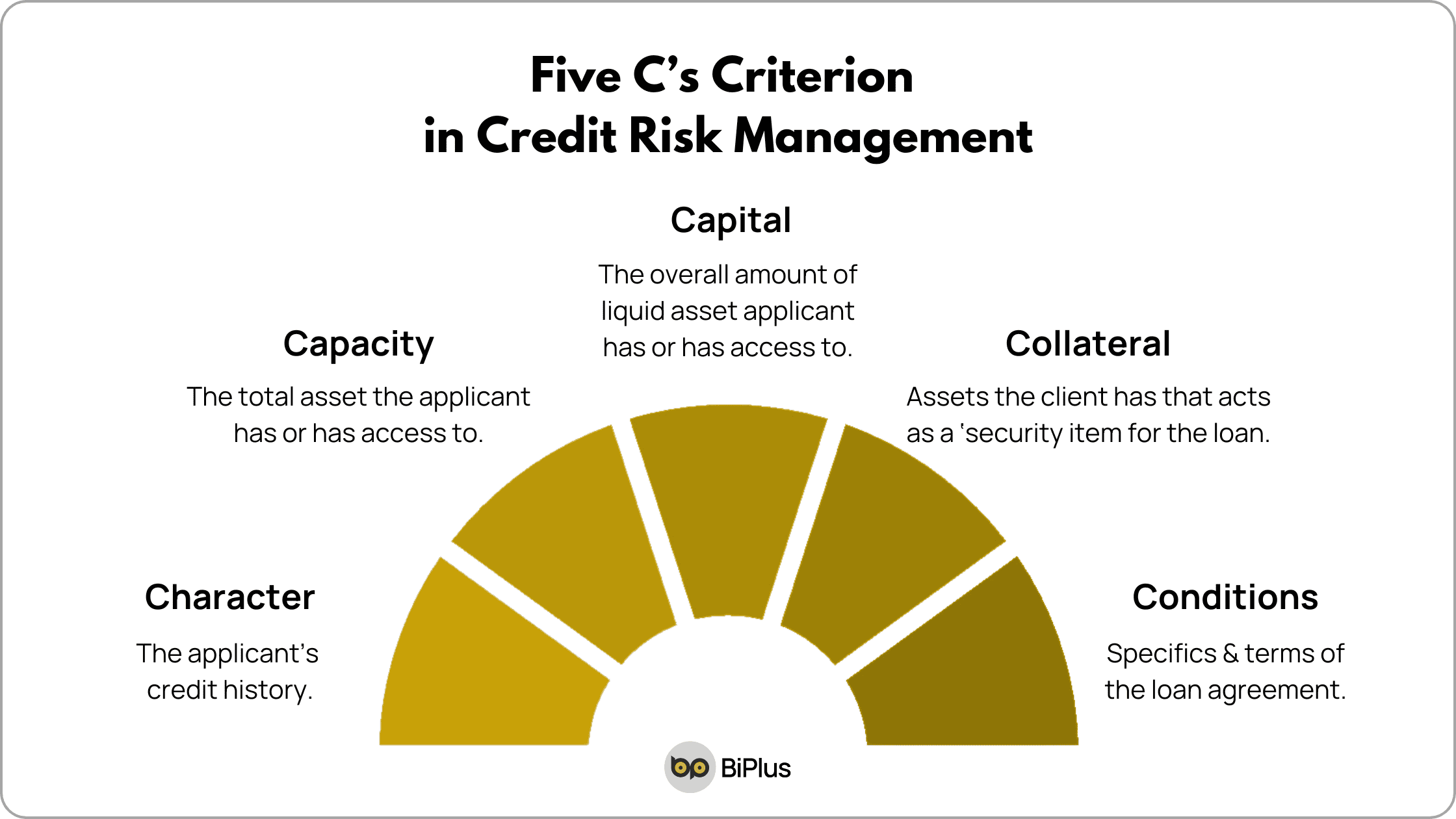 Credit Risk Management Software - 5c criterion