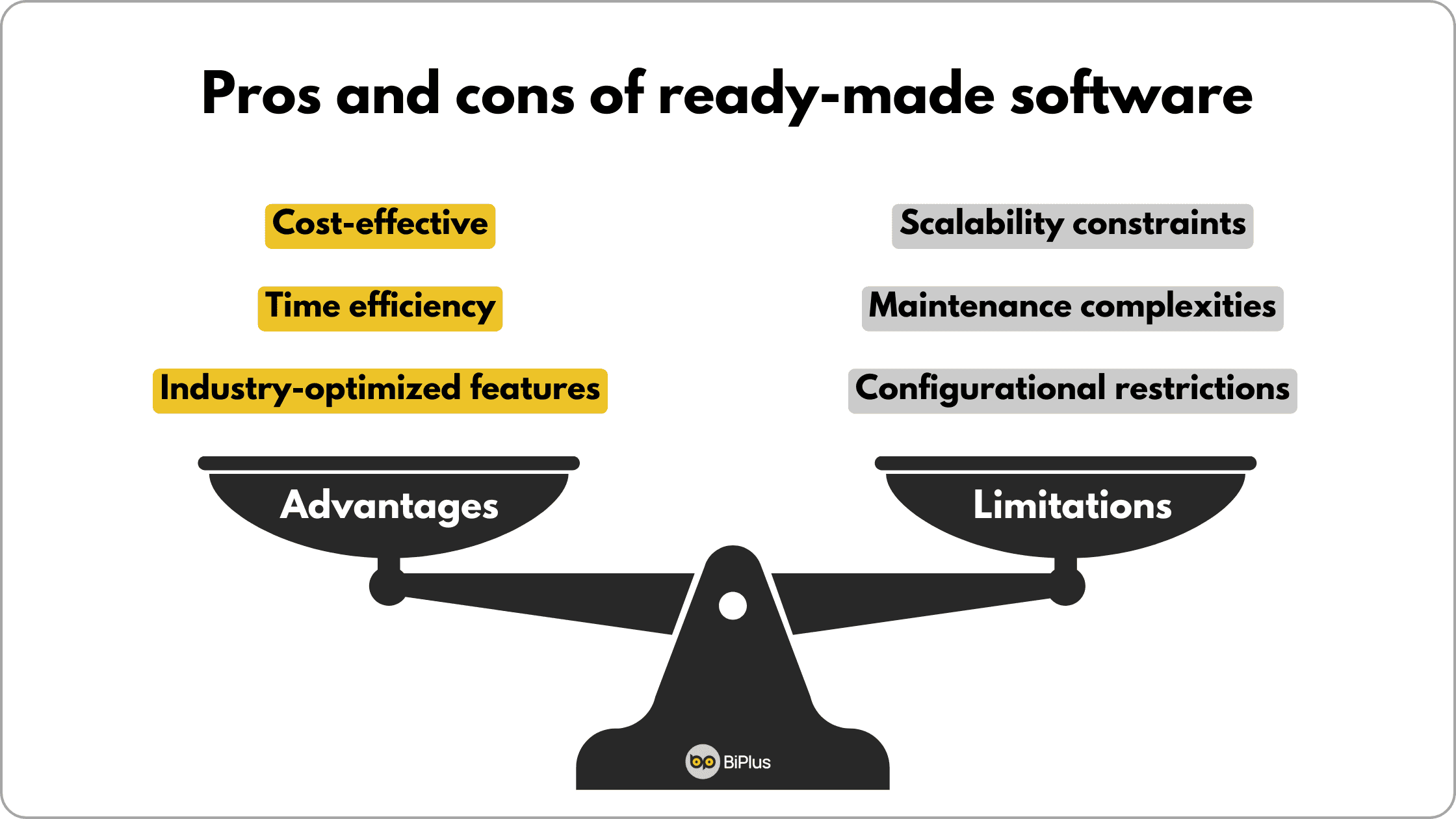 advantages and limitations of ready-made software